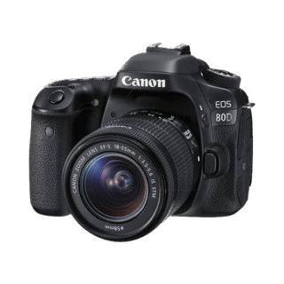 Vestibulum ante ipsum primis