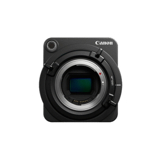 Aenean non pellentesque mauris