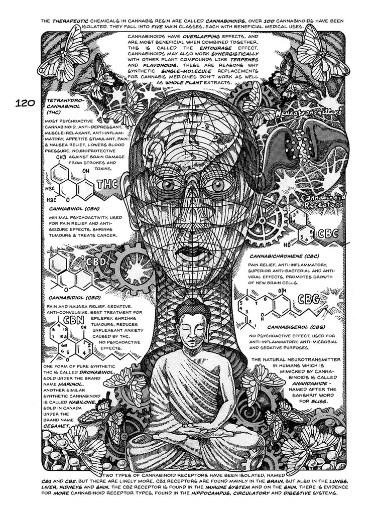 The Illustrated History of Cannabis in Canada - Image 2