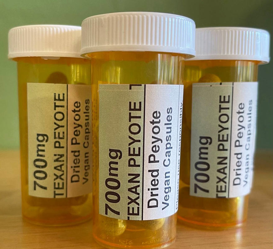 Texan Peyote Cactus Capsules