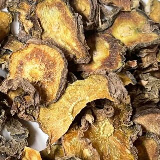 Texan Peyote Cactus Chips