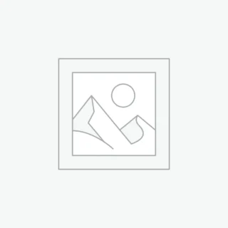 Aliquam id quam elementum arcu eleifend